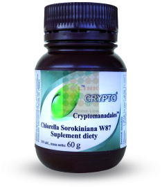 Chlorella Cryptomonadales Sorokiniana