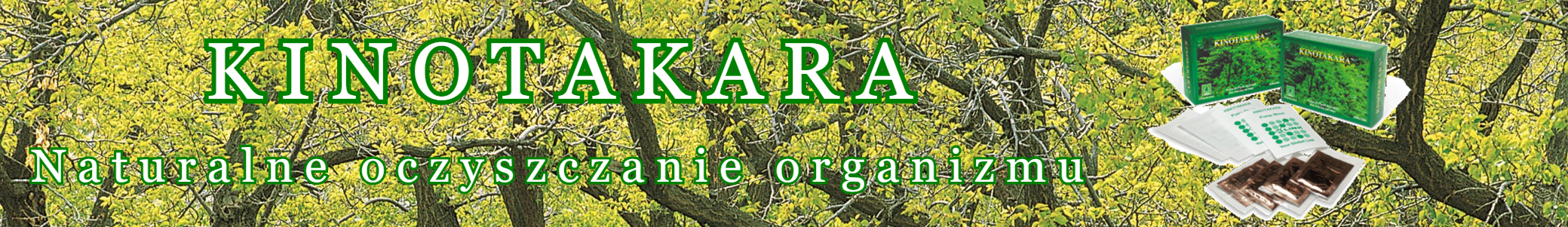 Baner Kinotakara